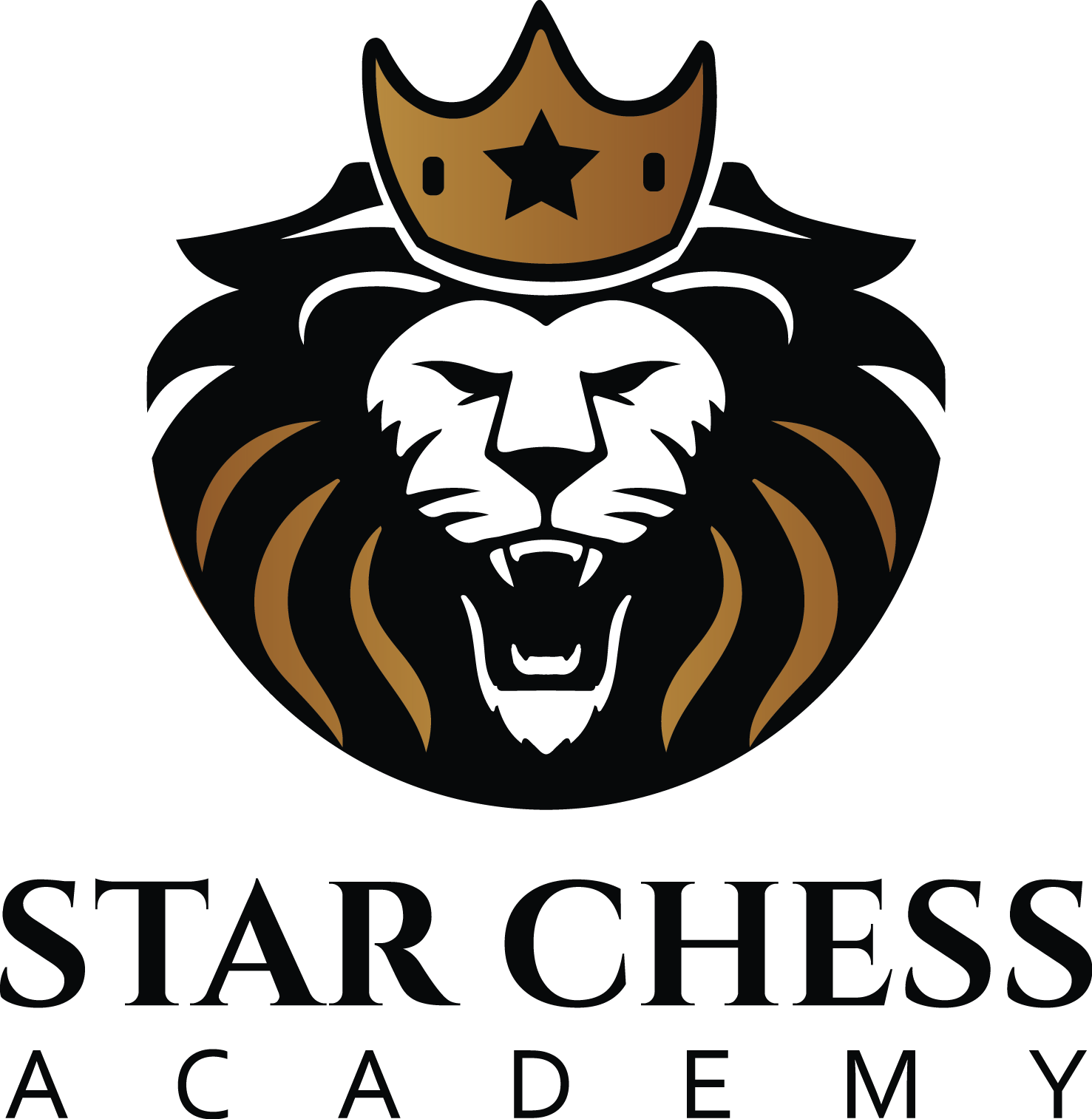 Star Chess Academy